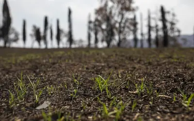 Newly released carbon credit numbers add credence to rural abatement program
