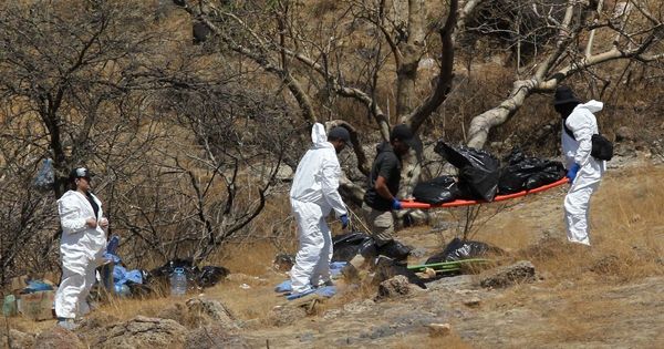 Dozens of bags containing HUMAN REMAINS discovered in Mexico in search for missing people