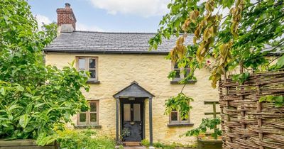 15 holiday cottages in Wales for a perfect break with family or friends