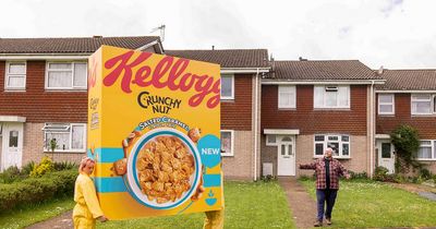 8ft box of cereal is delivered to superfan's house