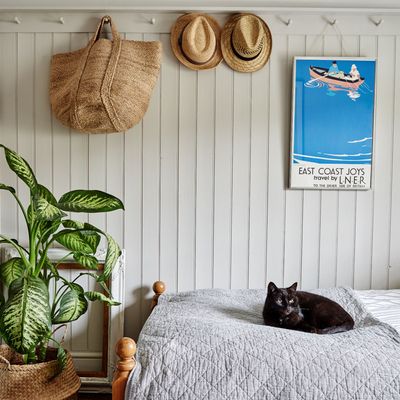 Can houseplants protect you from cancer-causing air pollutants? New research makes a bold claim