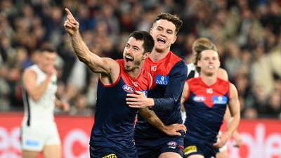 Melbourne beats Carlton by 17 points at the MCG as Demons stick in the AFL's top four