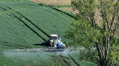 Environmental groups sue French state over use of pesticides