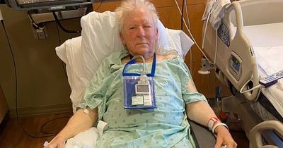 Over 200 'killer bees' attack 81-year-old man for THREE hours leaving him in hospital