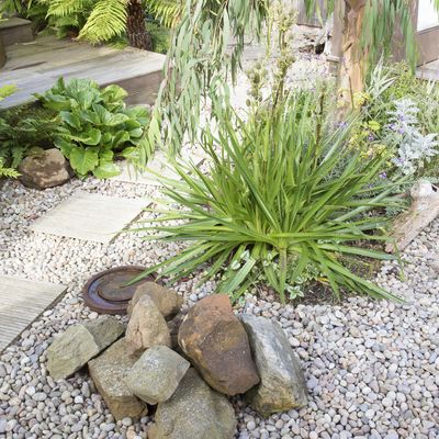 How to get rid of weeds in gravel – an easy guide to remove unwanted plants