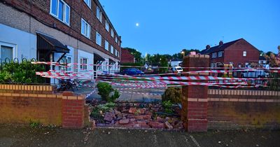 Car hit by BMW smashes through front garden wall