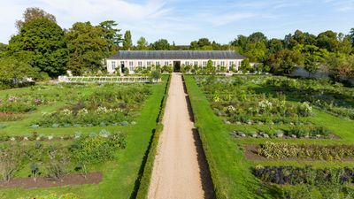 Palace of Versailles opens a garden dedicated to perfume-making plants