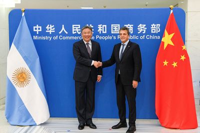 China, Argentina agree to jointly promote 'belt and road' initiative