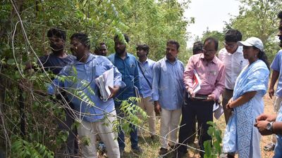 Andhra Pradesh: Accord top priority to land resurvey, Vizianagaram Collector tells officials