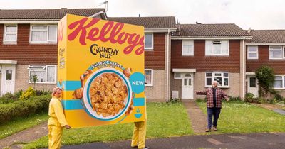 Lucky cereal fan wins giant box of Kellogg's Crunchy Nut - standing at eight foot tall