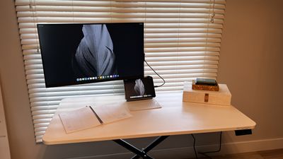 Lillipad Standing Desk Review