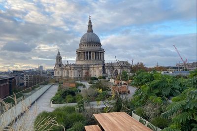 London Open Gardens weekend: secret gardens and rooftop spaces opening to the public in June