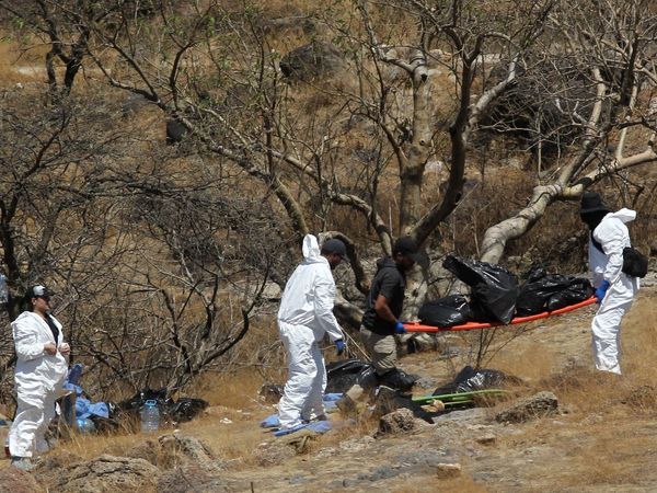 Mexico authorities find 45 bags filled with body parts in search for seven missing call centre workers