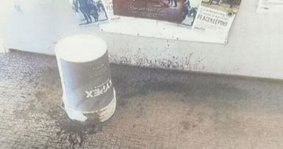 Enraged man dumps 44lb bucket of excrement over police station counter