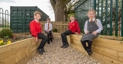 St Bede's Primary School students in Bedlington help create memorial garden for former governor