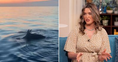 Brit shares horror of being surrounded by killer whales who 'headbutted' boat