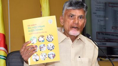 Andhra Pradesh: Development has come to a halt under YSRCP government, says Chandrababu Naidu