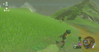 How to shield surf in The Legend of Zelda: Tears of the Kingdom and mimic Tony Hawk