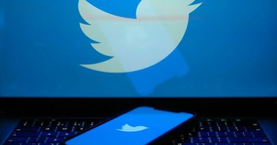 Twitter down as users claim tweets have 'disappeared'