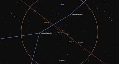 See Mars buzz the dense stars of the Beehive Cluster tonight