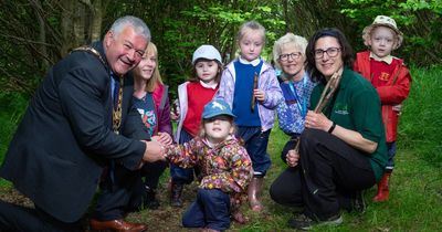 Derry kids take a leaf from older people in Forest Schools project
