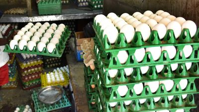 Anganwadi workers in Karnataka facing egg debt burden