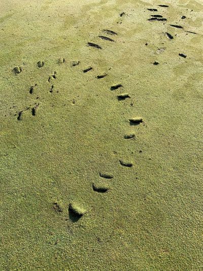 Michigan golf course vandalized, offers reward for info