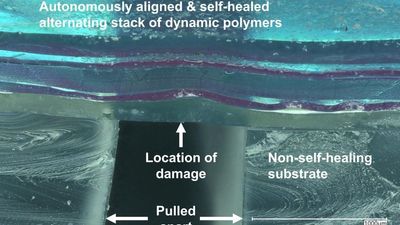 Stanford Scientists Develop Self-healing Synthetic Skin For Robots