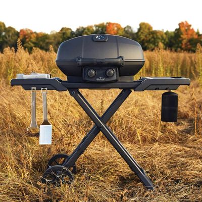 Are Napoleon BBQs any good? We tried the compact Napoleon TravelQ to find out