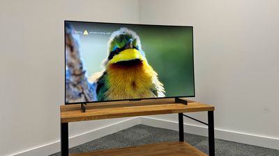 Cheap OLED TVs may be on the horizon - here's why