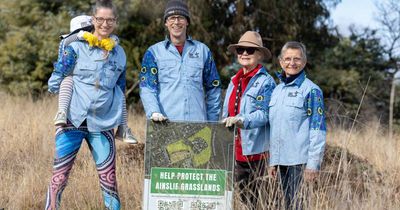 'We want better protection': Call to extend Mt Ainslie Nature Reserve