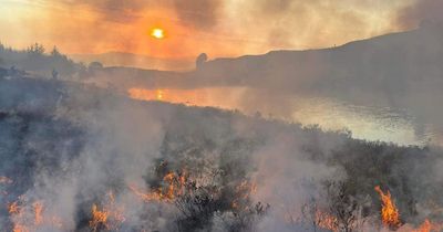 Highlands wildfire shows how Scotland is unprepared for climate change, experts warn