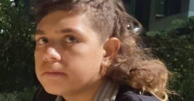 Police seek public assistance to find missing 13yo boy