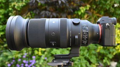Sigma 60-600mm F4.5-6.3 DG DN OS Sports review