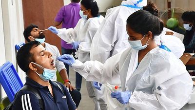 India records 237 fresh Covid-19 cases