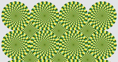 Mind-boggling optical illusion challenges you to stop the spirals from spinning