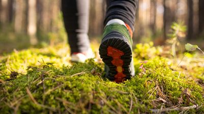 Seven ways to reduce your carbon footprint when hiking and camping