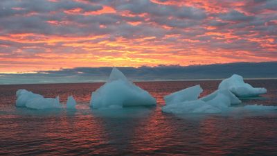 Ozone layer recovery delayed, surface UV radiation rising: Study