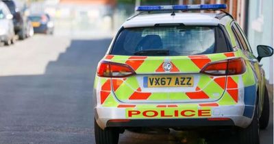 Woman in her 70s dies after being mauled by dog