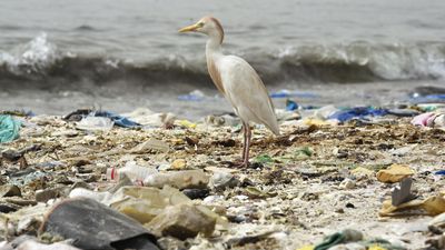 Nations agree to draft landmark UN treaty against plastic pollution by end of 2023