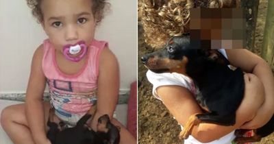 Hero dog dies after saving four children from being mauled by a Rottweiler