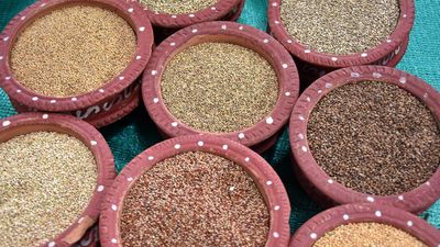 Seed-savers, progressive farmers call for conservation of agro-diversity