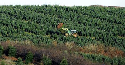 Farmer forced to spend £22k to 'make it rain' and save his livelihood