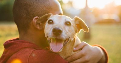 Expert warns dog owners to never hug their pets as gesture can make animals bite