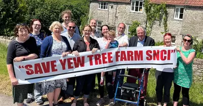 'Do more' to save Bristol's last farm demand councillors and residents