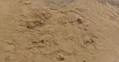 Strange bubbles appear in sand on Welsh beach which people should stay away from