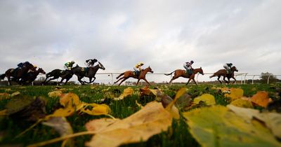 Horse racing tips: Sunday selections from Newsboy for cards at Nottingham and Fakenham