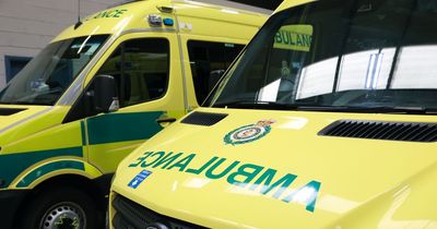 Off-duty paramedic helps at scene of A19 crash after car overturns near Castle Eden leaving two in hospital