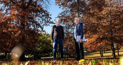 Greens urged to stop Inner South tree removal
