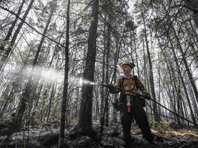 Rain brings much-needed relief to firefighters battling Nova Scotia wildfires